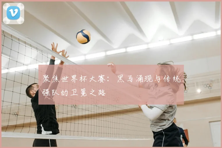 聚焦世界杯大赛：黑马涌现与传统强队的卫冕之路