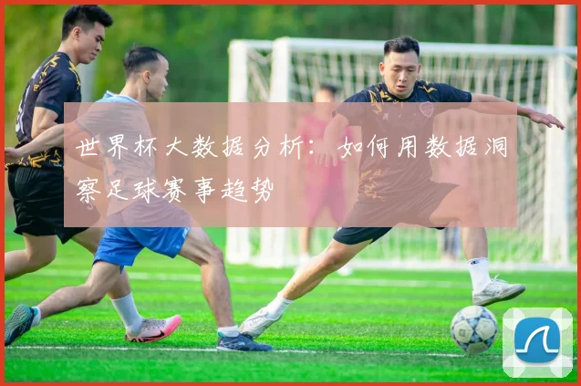 世界杯大数据分析:如何用数据洞察足球赛事趋势
