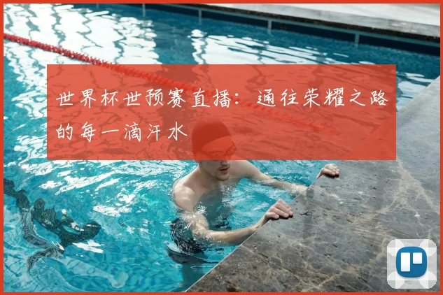 世界杯世预赛直播:通往荣耀之路的每一滴汗水