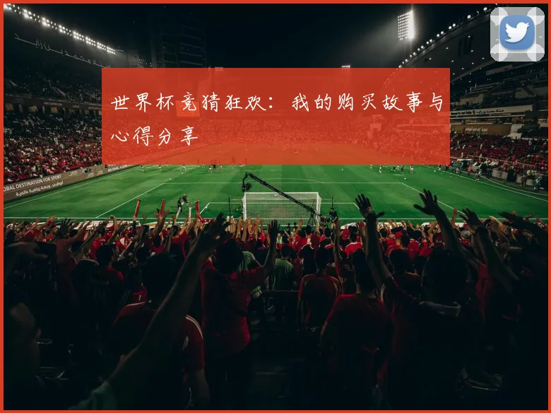 世界杯竞猜狂欢：我的购买故事与心得分享