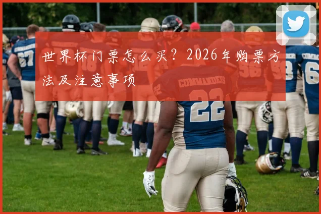 世界杯门票怎么买?2026年购票方法及注意事项