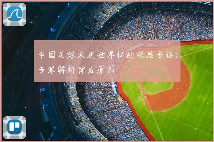 中国足球未进世界杯的深层专访:专家解析背后原因