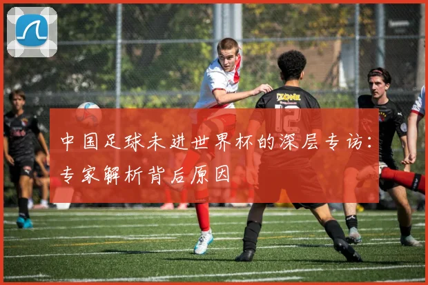 中国足球未进世界杯的深层专访:专家解析背后原因